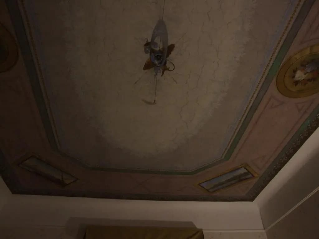 Texas Hotel - photo 10