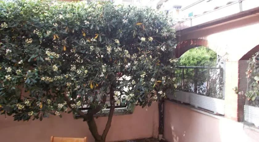 Dora's House - photo 6