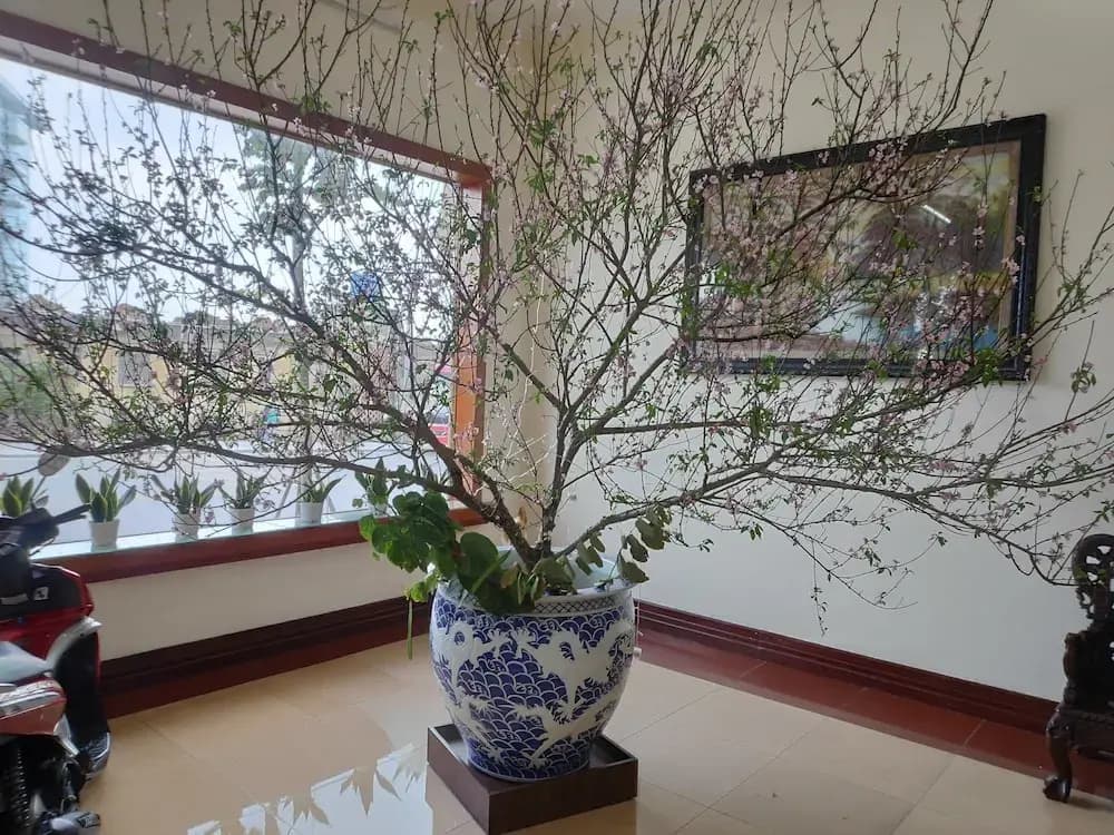 Ngoc Mai Hotel - photo 13