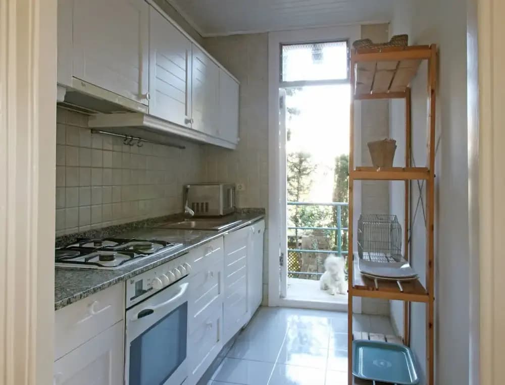 Green House - photo 16