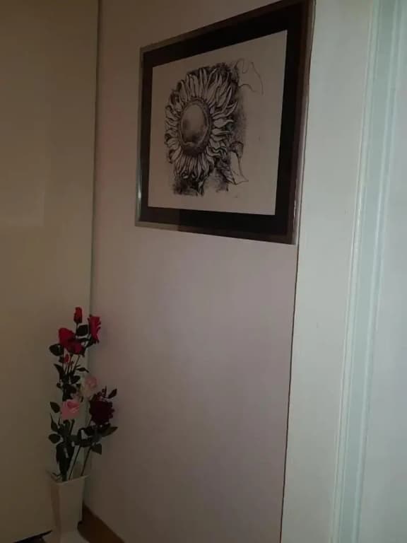 Giolitti Guesthouse - photo 11