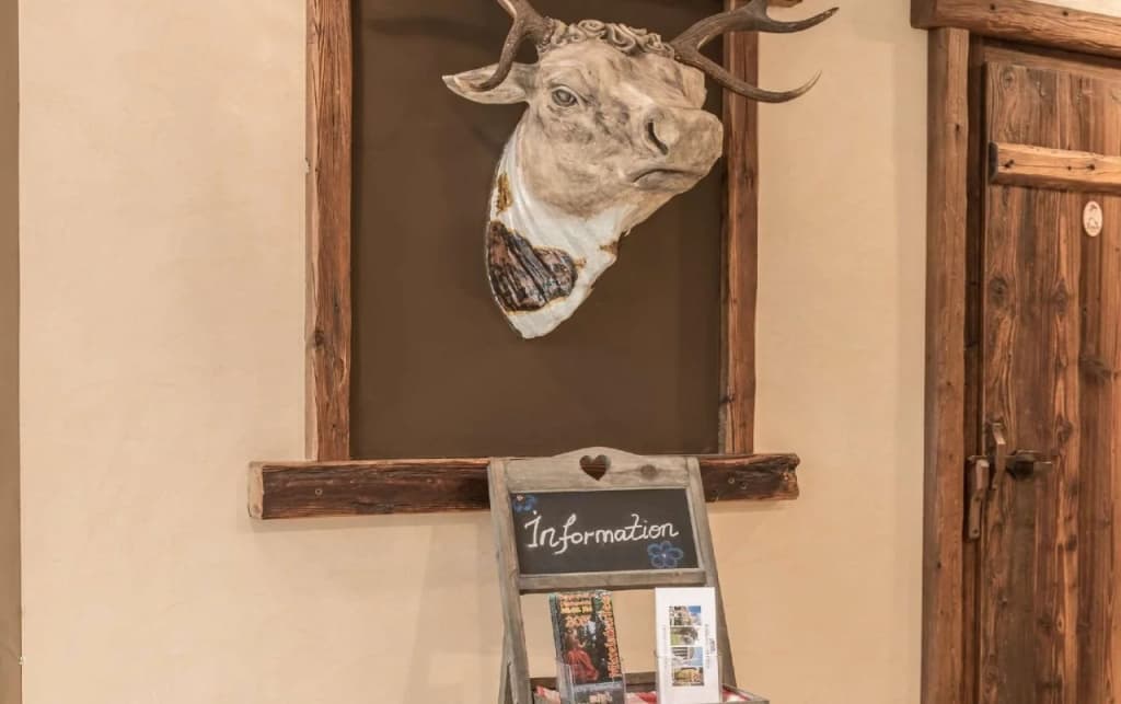 Hotel Enziana Wien - photo 39