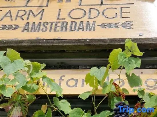 Amsterdam Farm Lodge - photo 2