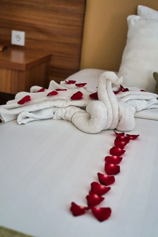 Sotis Villa Canggu - photo 29