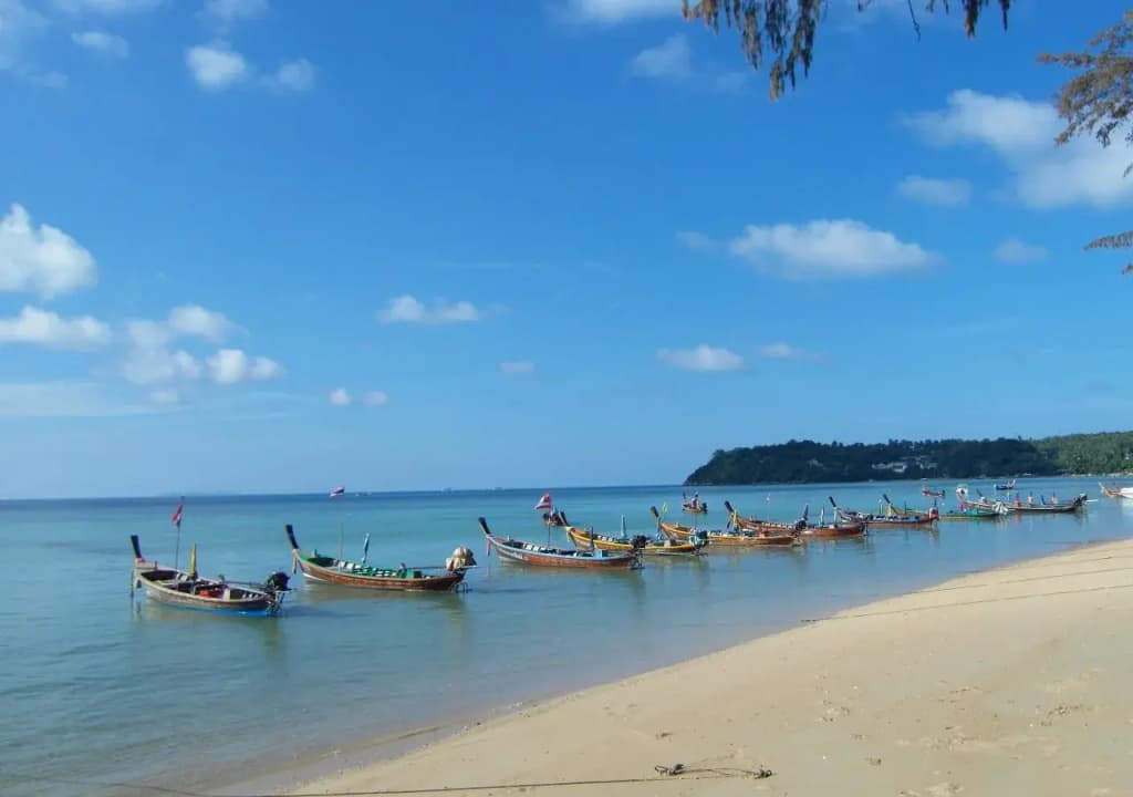Palm Village - photo 12