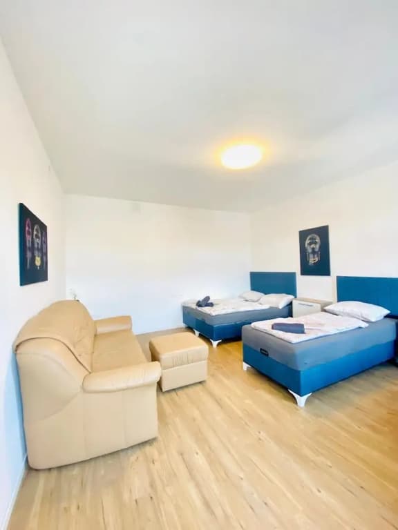 Spacious 4BR for 15 & 15 Min to Danube - photo 34