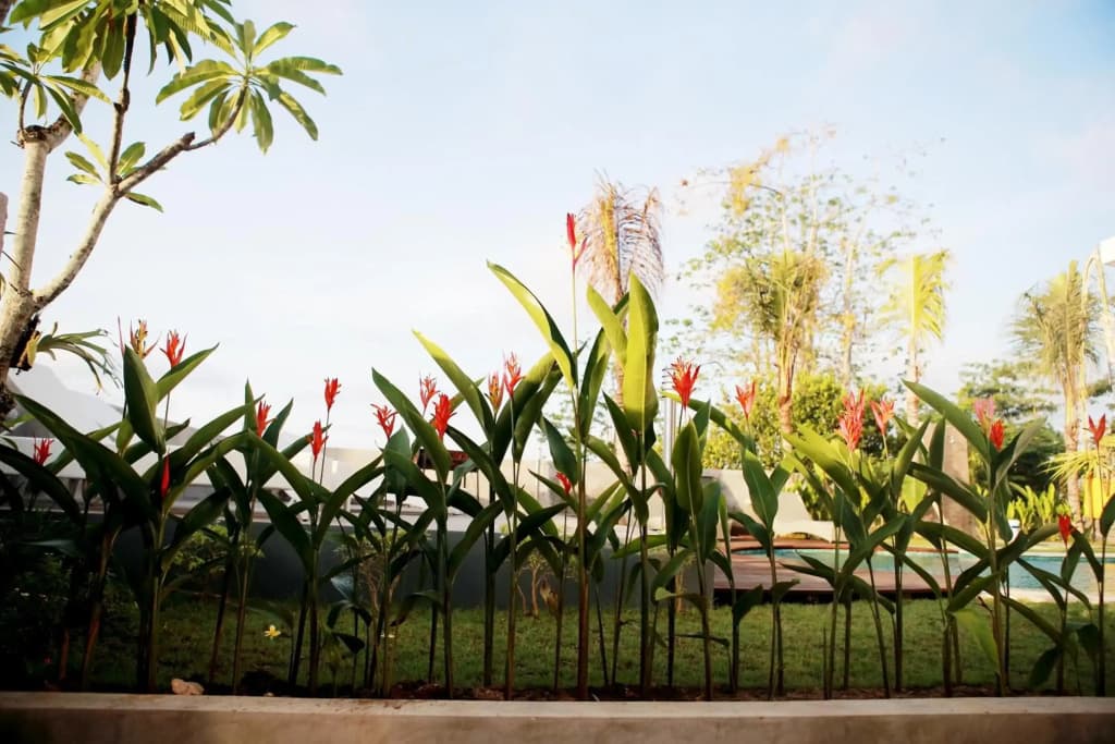 Vanilla Suite Jimbaran - photo 31