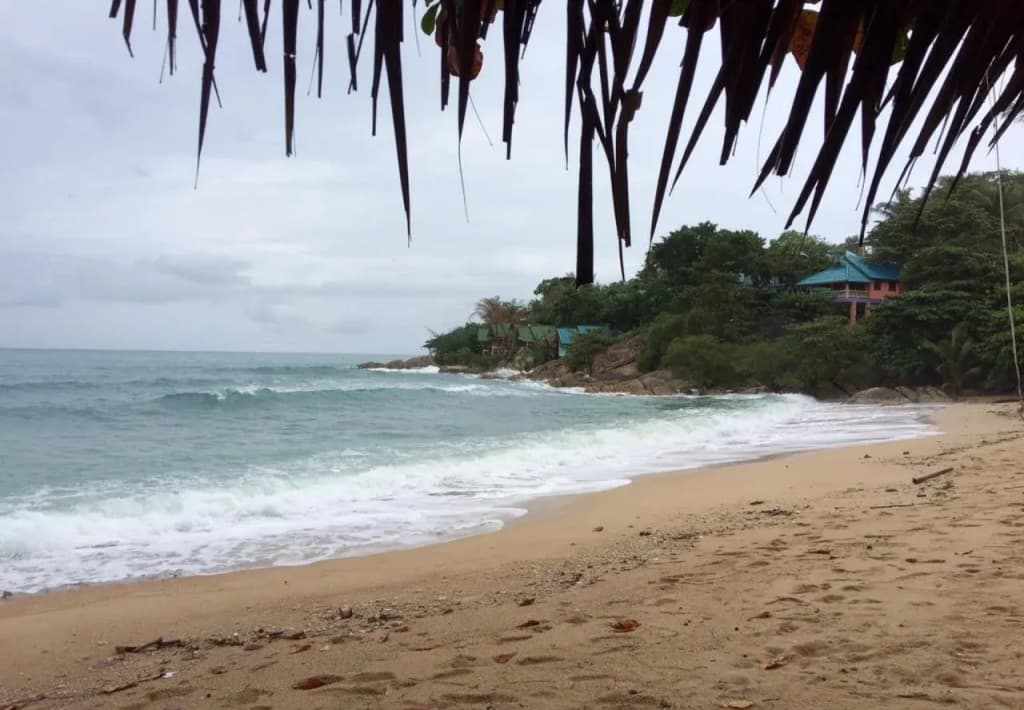Phangan Dragon Hut Resort - photo 10
