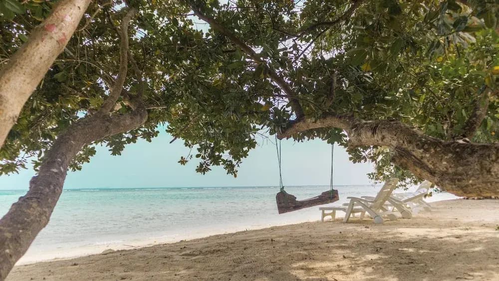 Palm Rest Maldives - photo 11