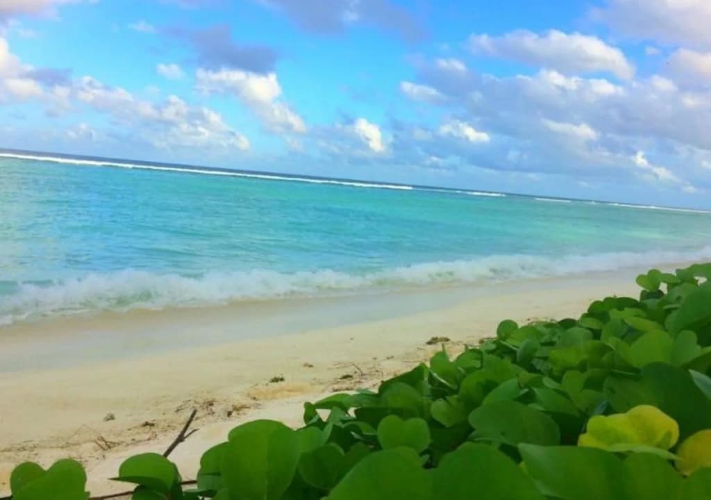 Отель Pine Lodge Maldives - photo 15