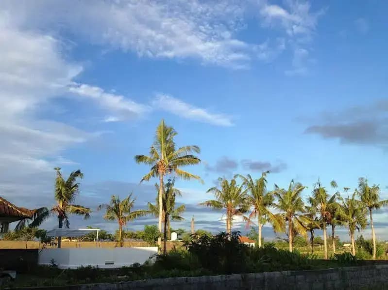 Canggu Stay - photo 5