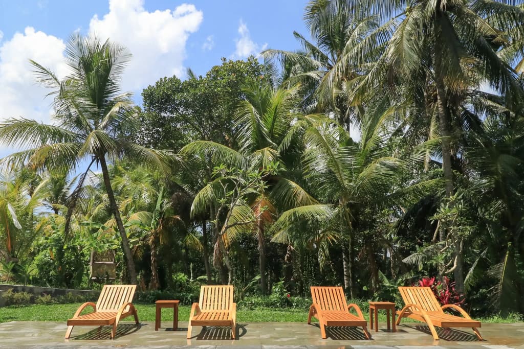 Suarsena Ubud - photo 16