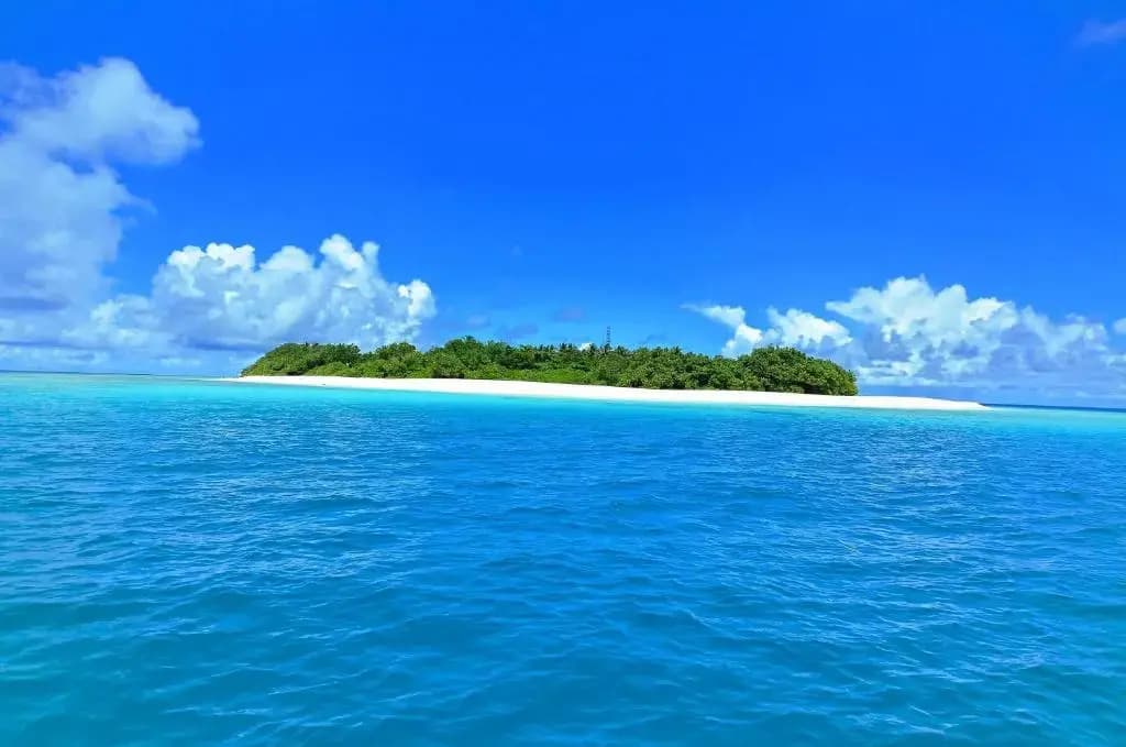 Nala Veli Villa - photo 9