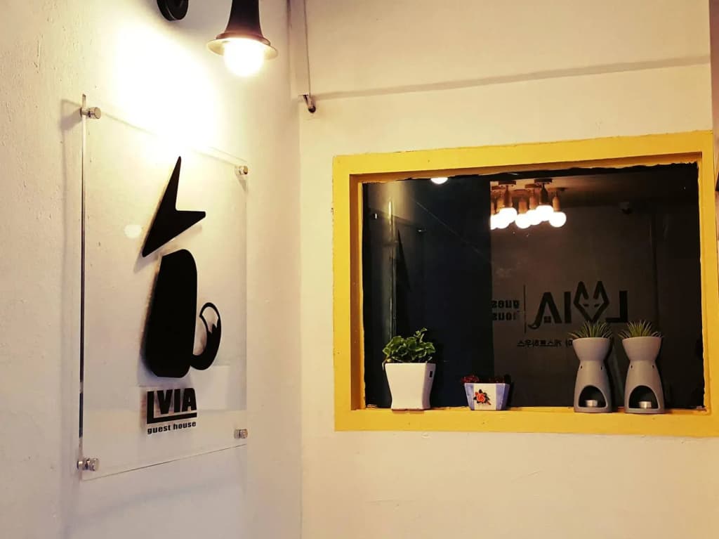 LVIA Guesthouse - Hostel - photo 15