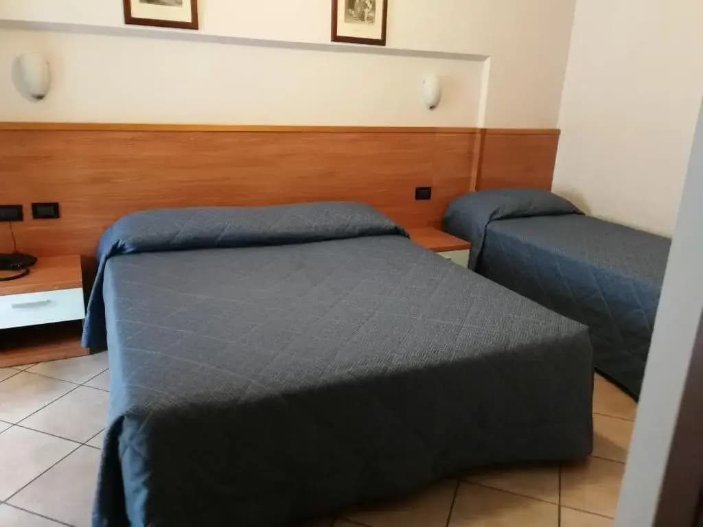 Hotel Salerno - photo 6