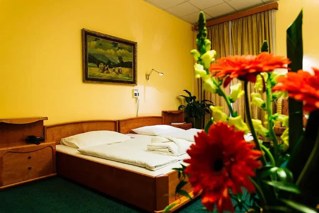 Wellness & Treatment Hotel Ghc - photo 4