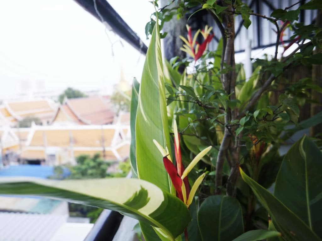 Baan Bangkok Backpackers Hostel - photo 8