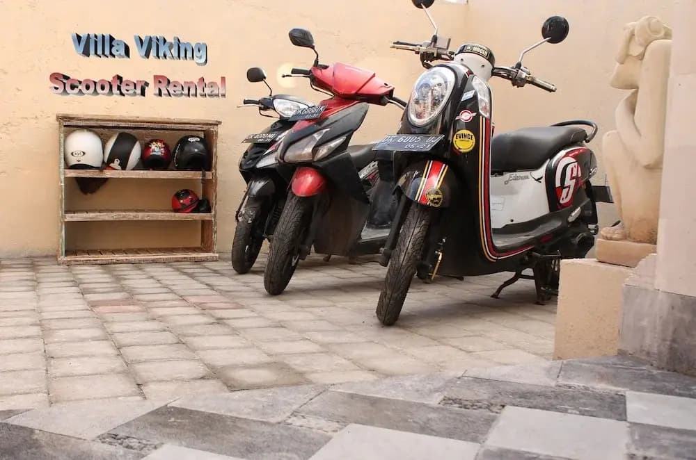 Villa Viking - photo 17