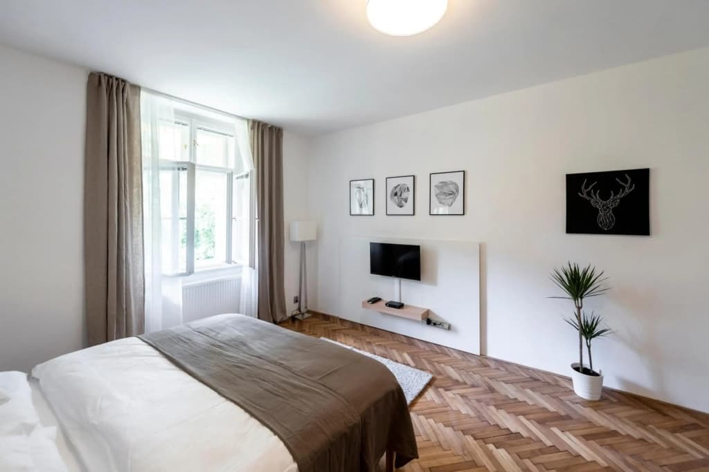 Apartment Slavikova 11 - photo 5