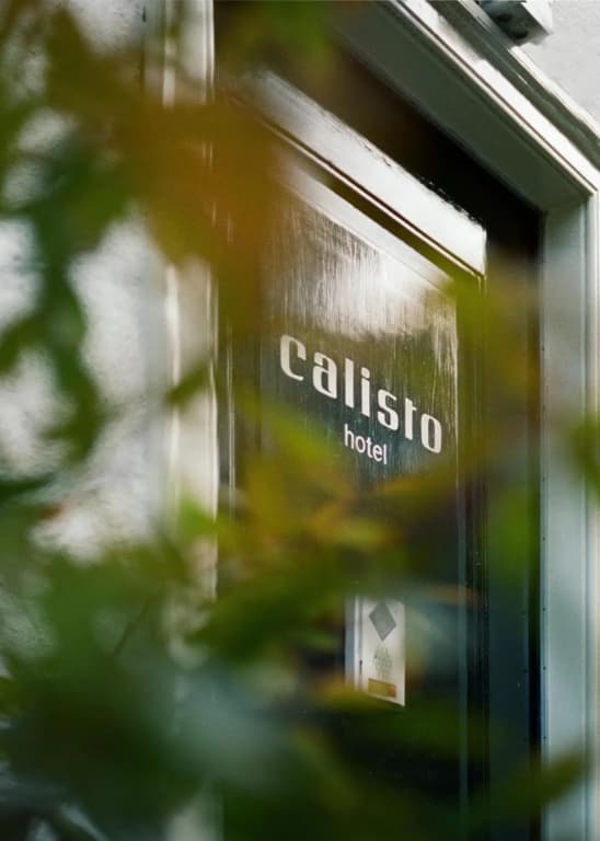 Hotel Calisto - photo 50