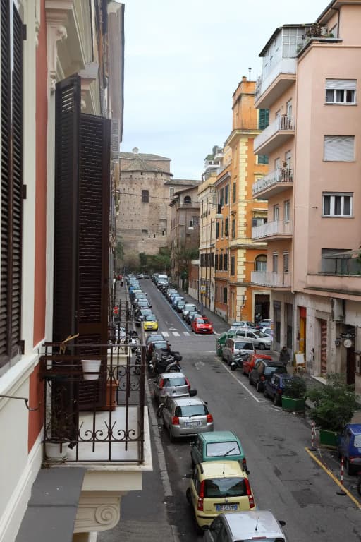 Maximus - photo 32