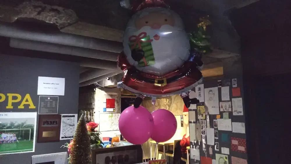 Oppa Hostel - photo 29