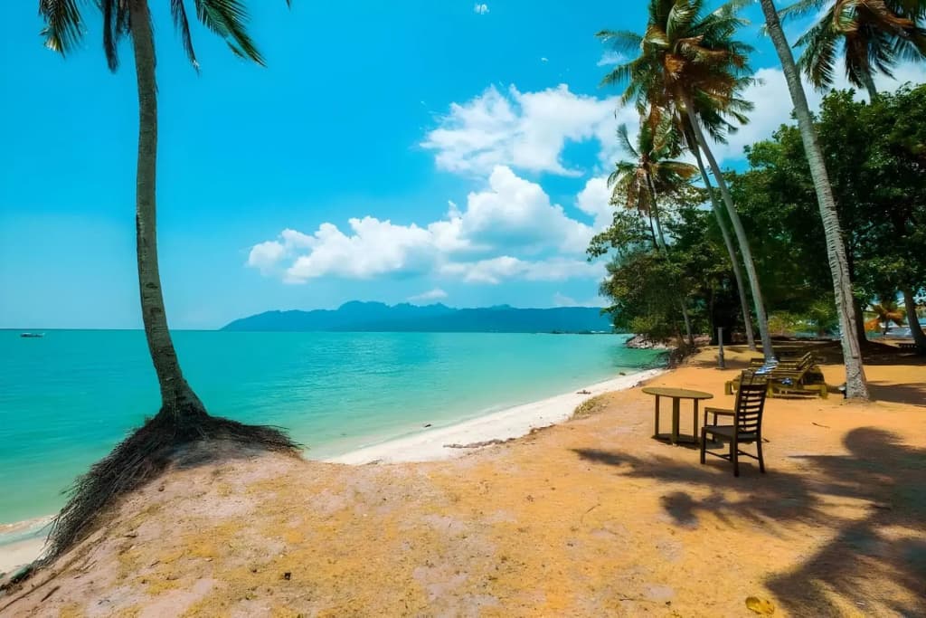 D'Coconut Villa Langkawi - photo 7