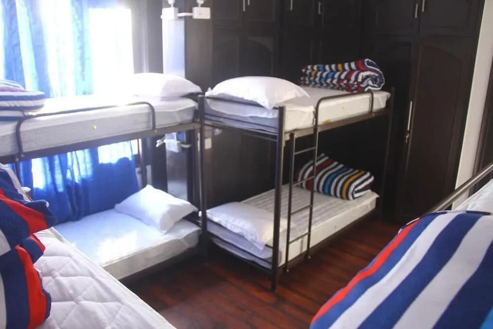 Madpackers Delhi - Hostel - photo 5