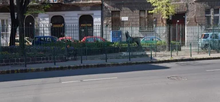 Frankys Hostel - photo 6