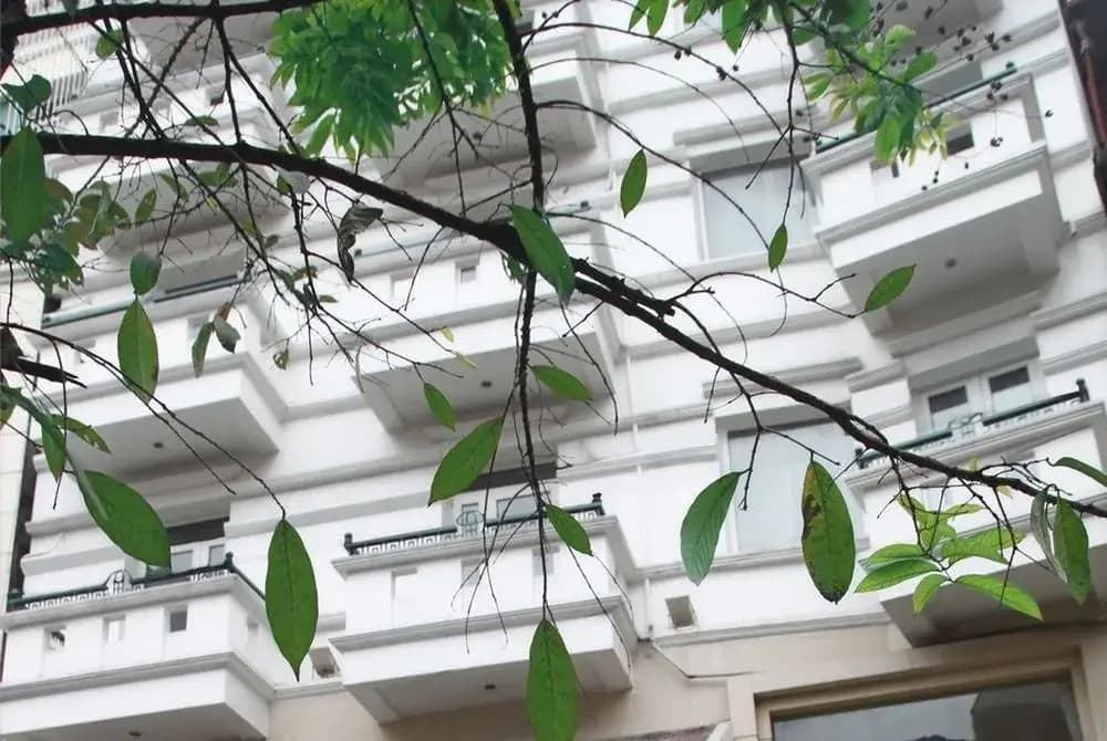 Medallion Hanoi Hotel - photo 21