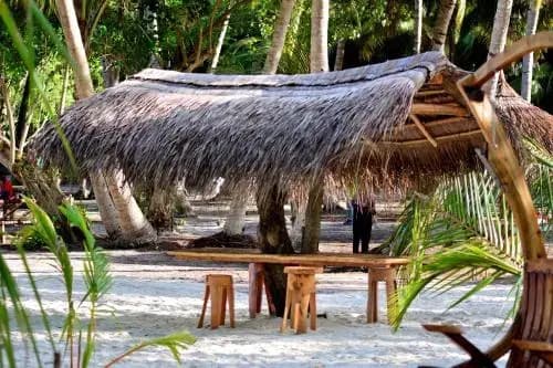 Orchid Inn - photo 4