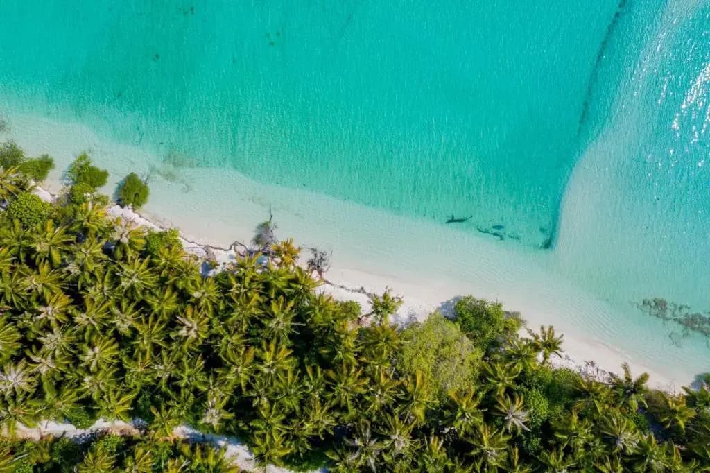 Fehendhoo Stay - photo 10