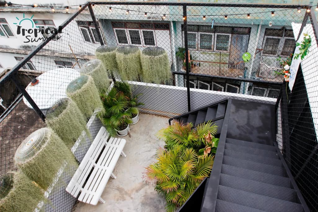 Tropical Summer Cafe & Hostel - photo 4