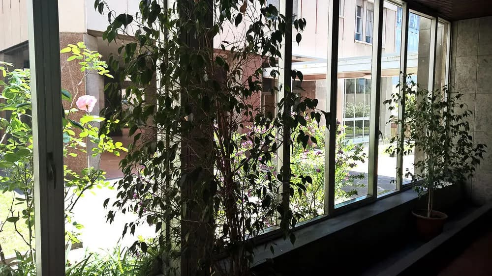 Ecolodge - Coppola MyHouse - photo 18
