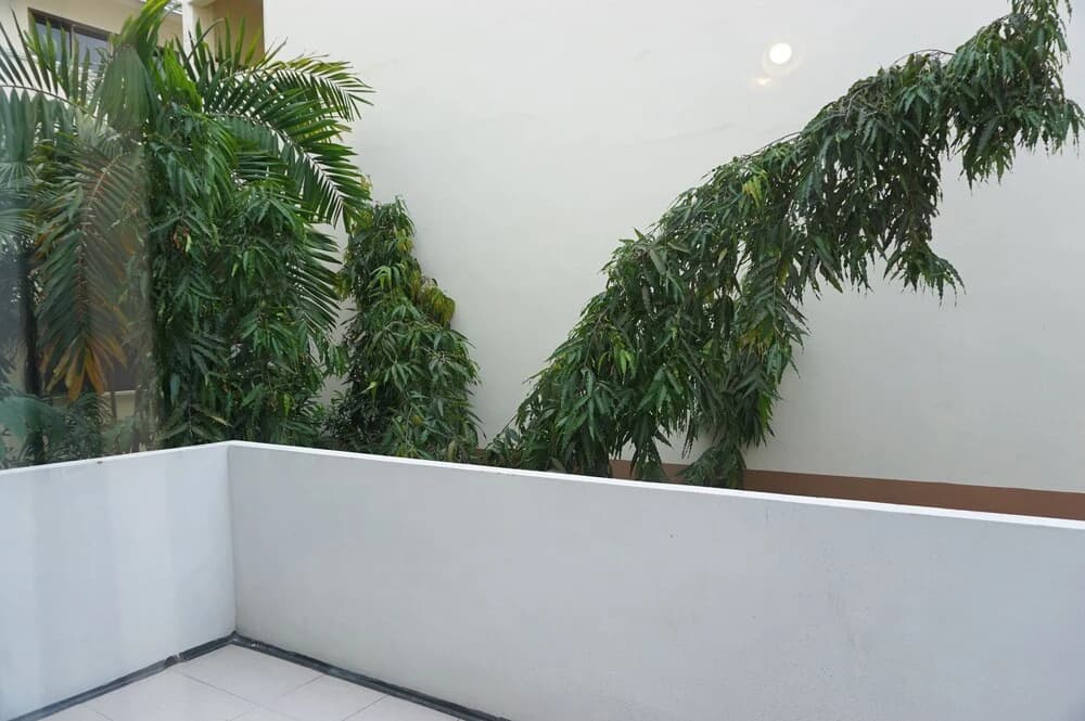 Swiss Hostel Beachhouse - photo 12
