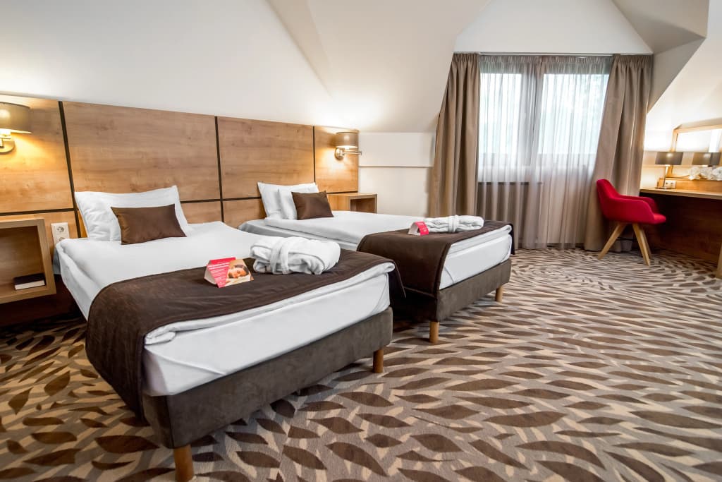 Rubin Wellness & Conference Hotel - photo 4