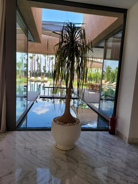 Magnifique Villa Golf Amelkis Marrakech - photo 33