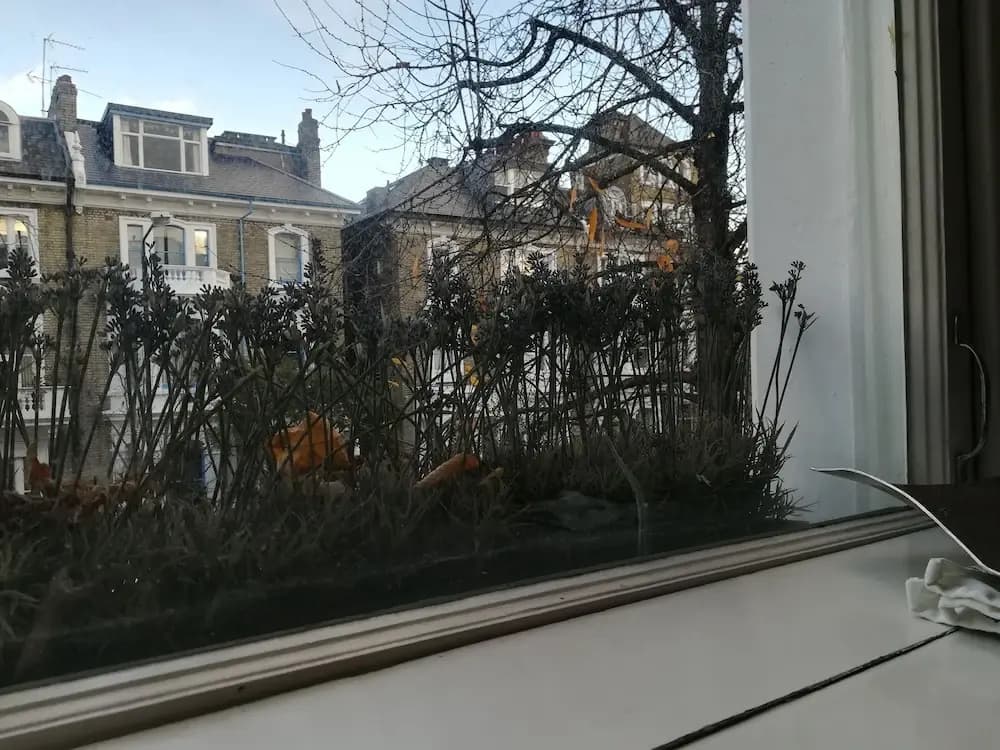 Redcliffe Gardens - photo 1