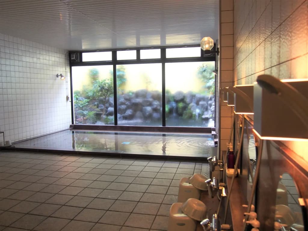 Saga Grace Hotel - photo 7