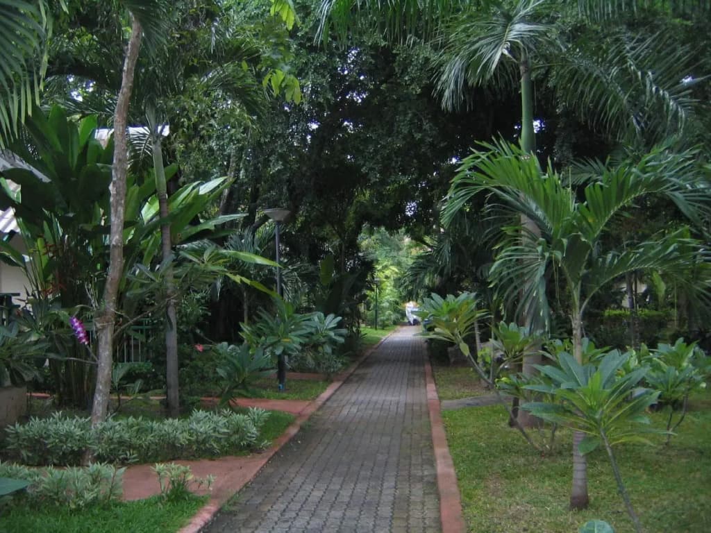 Pattaya Garden Resort - photo 25