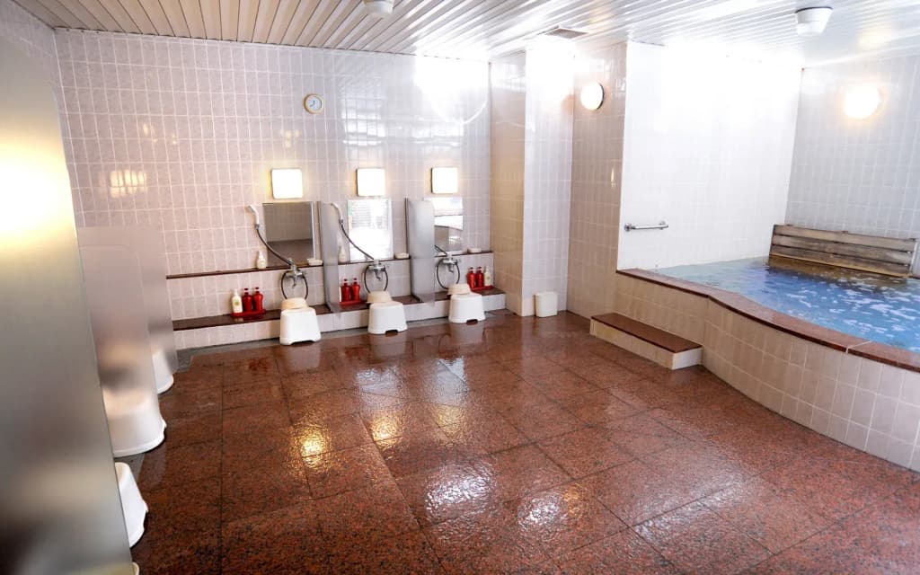 Hotel Claiton Shin-Osaka - photo 15