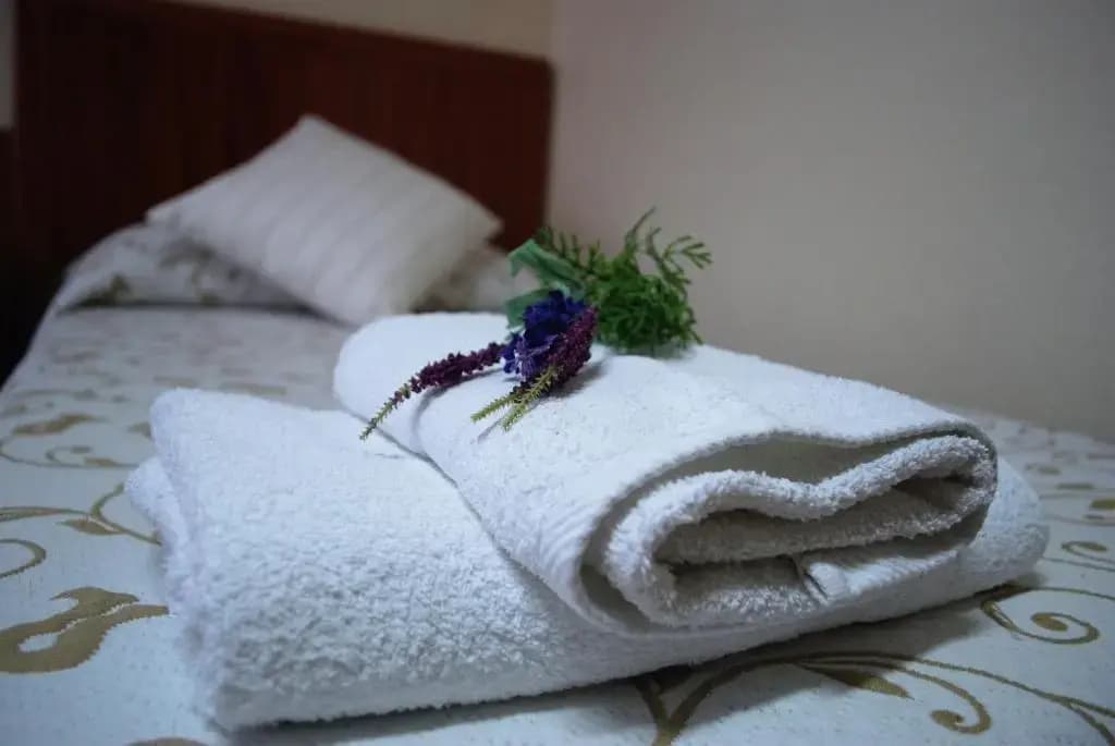 Hostal Galaico - photo 15
