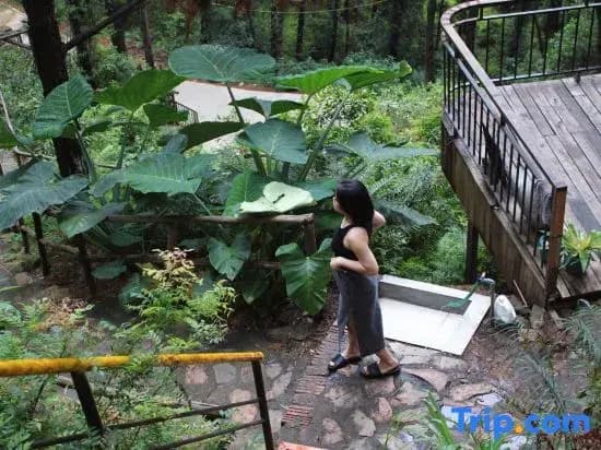 DeBay Retreat - Little Da Lat Chill Villa - photo 7