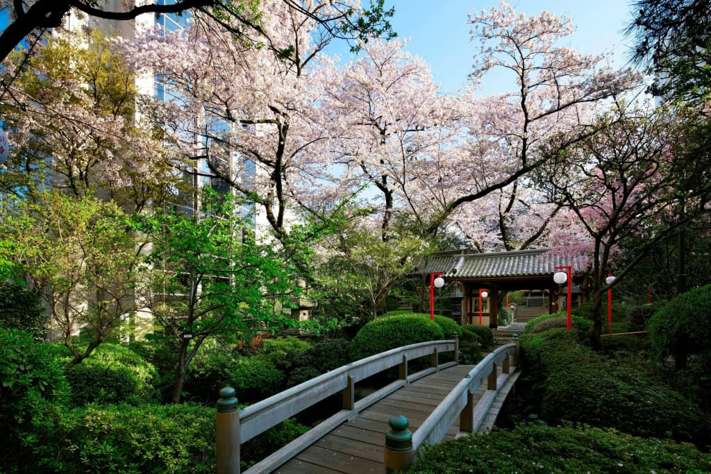 The Prince Sakura Tower Tokyo, Autograph Collection - photo 44