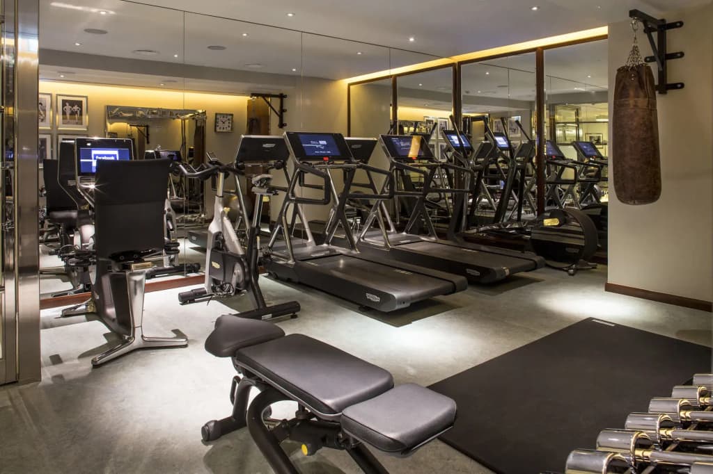 The Beaumont Mayfair - photo 17