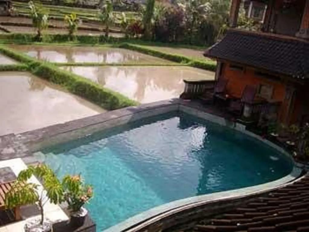 Ala's Green Lagoon Hotels - photo 14