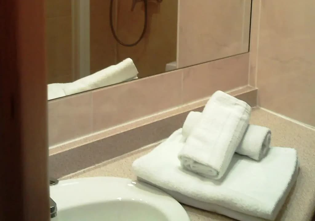 Hotel Oasis - photo 9