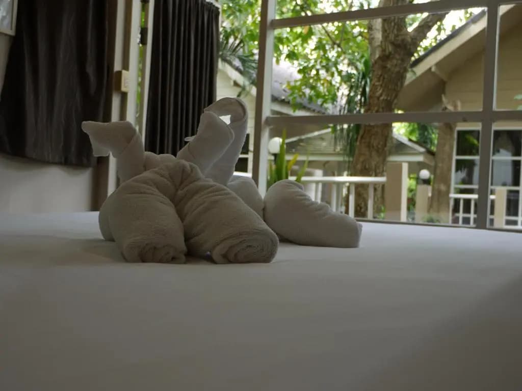 Reera Resort - photo 10