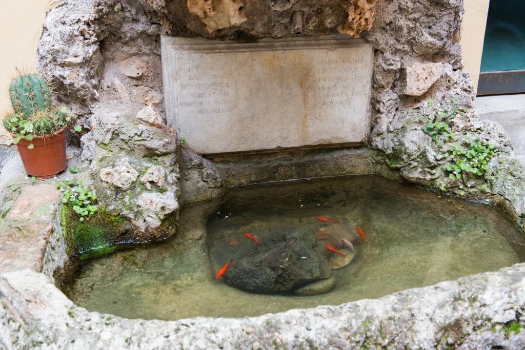 Domus Capilupi - photo 16