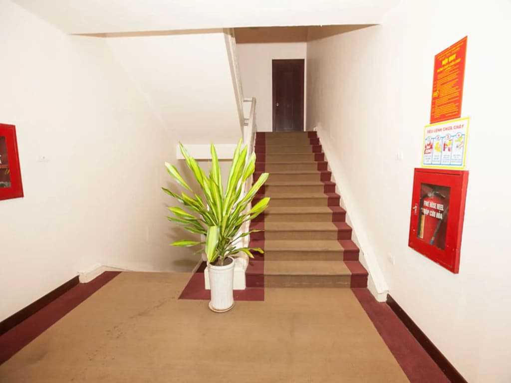 Sao Mai Hotel - photo 12